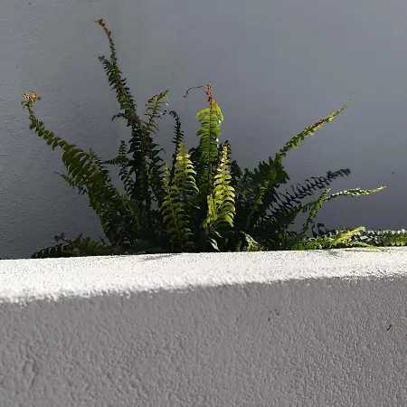 Gozo - New Luxury With Private Pool